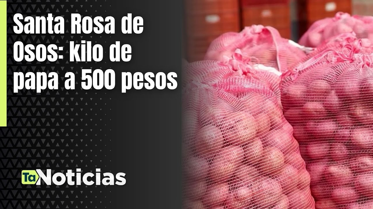 Santa Rosa de Osos: kilo de papa a 500 pesos - Teleantioquia Noticias