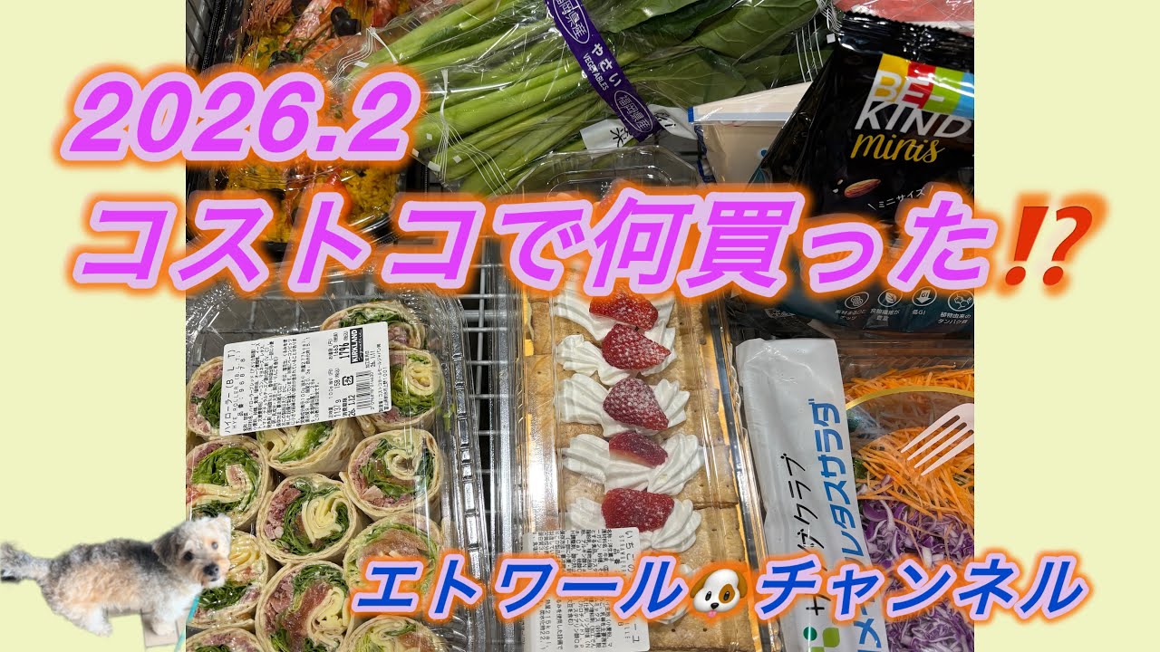 2026.2コストコで何買った⁉️#コストコ 