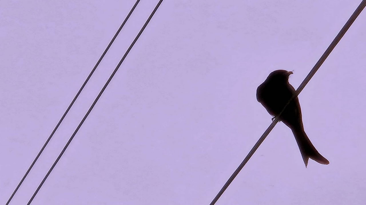 Near the cross...Strings E.Piano music