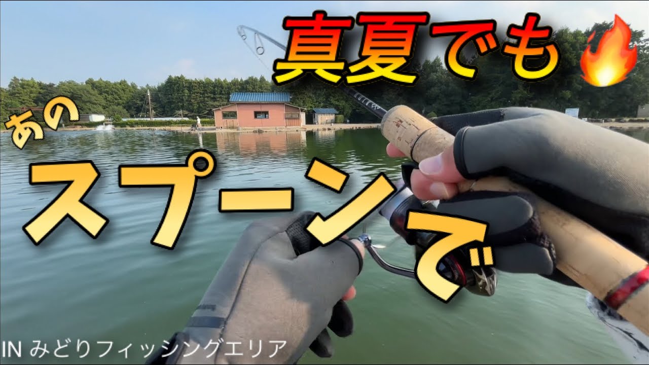 【エリアトラウト】真夏でもスプーンで釣り切りたい！そんなワガママも叶えてくれるエリアさんをあのスプーンで釣り切る！【前編】