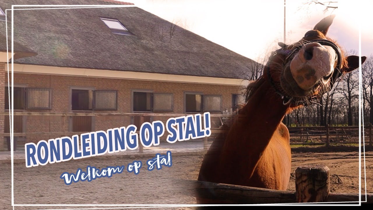 STALTOUR!! Neem een kijkje op onze stal! || Paardzoektbaas