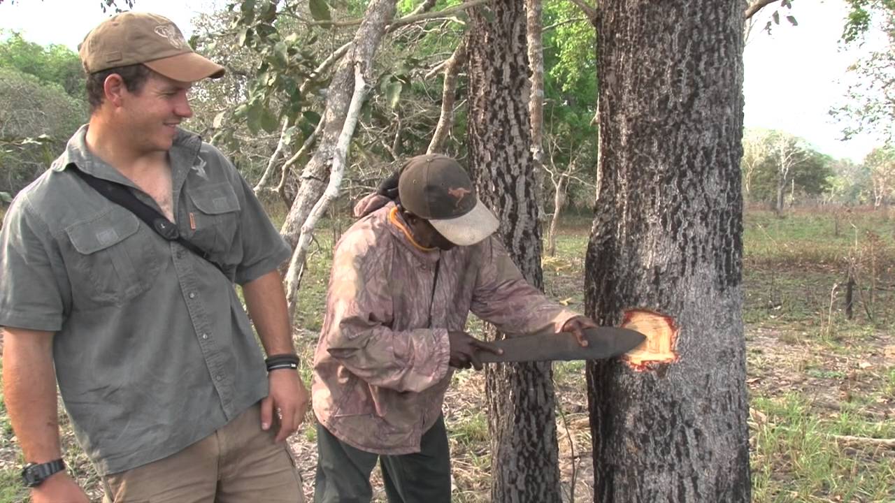 Cutting Edge Bullets- RECOVERED SAFARI SOLID