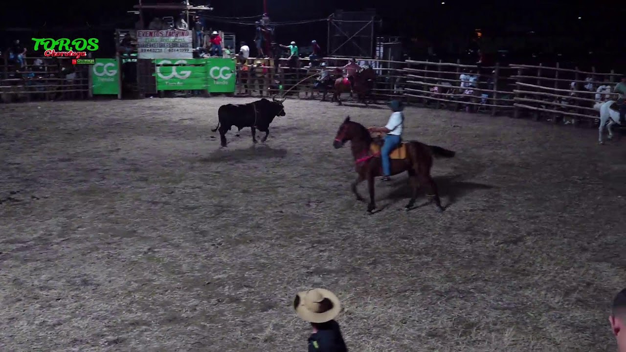 Fiestas ADI Cartagena