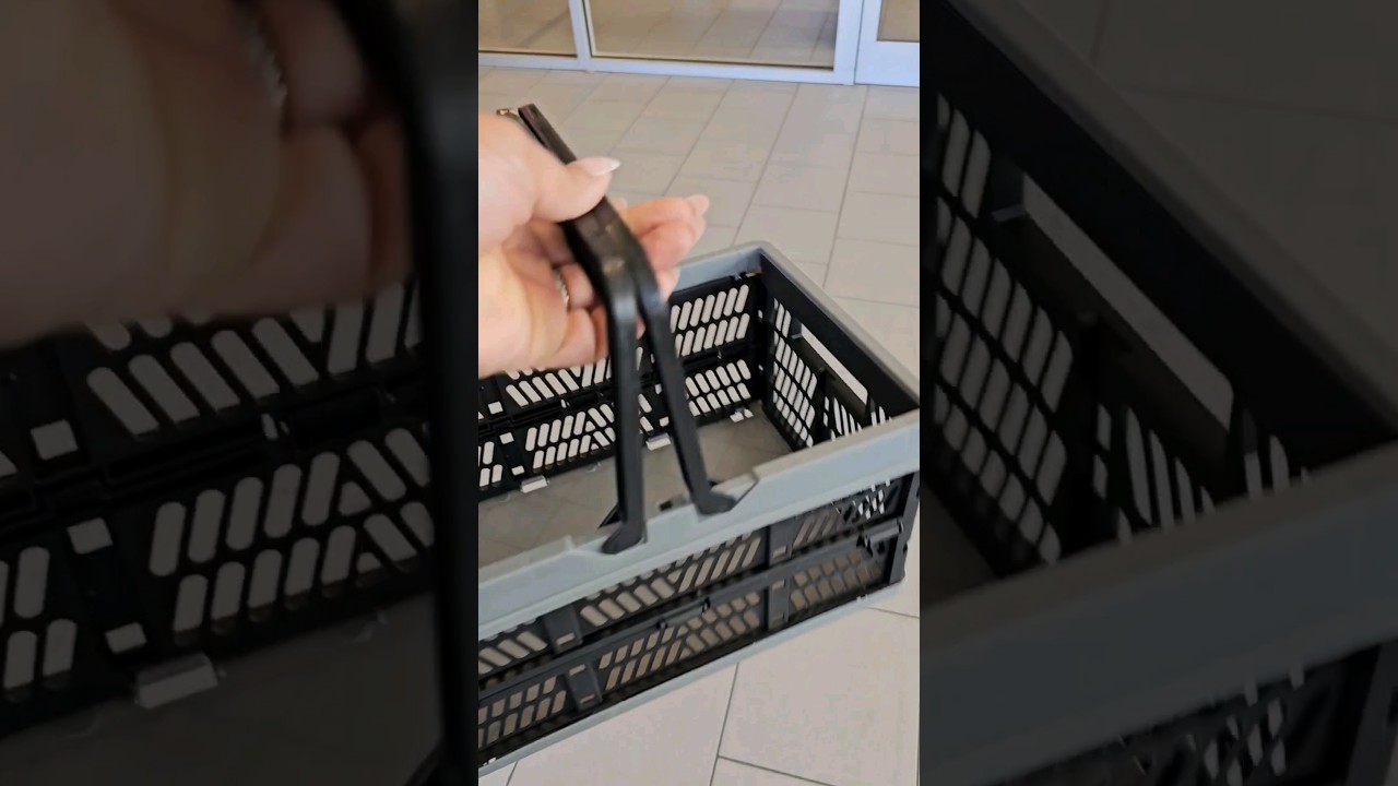 Aldi Run Using The Dollar Tree Collapsible Basket 