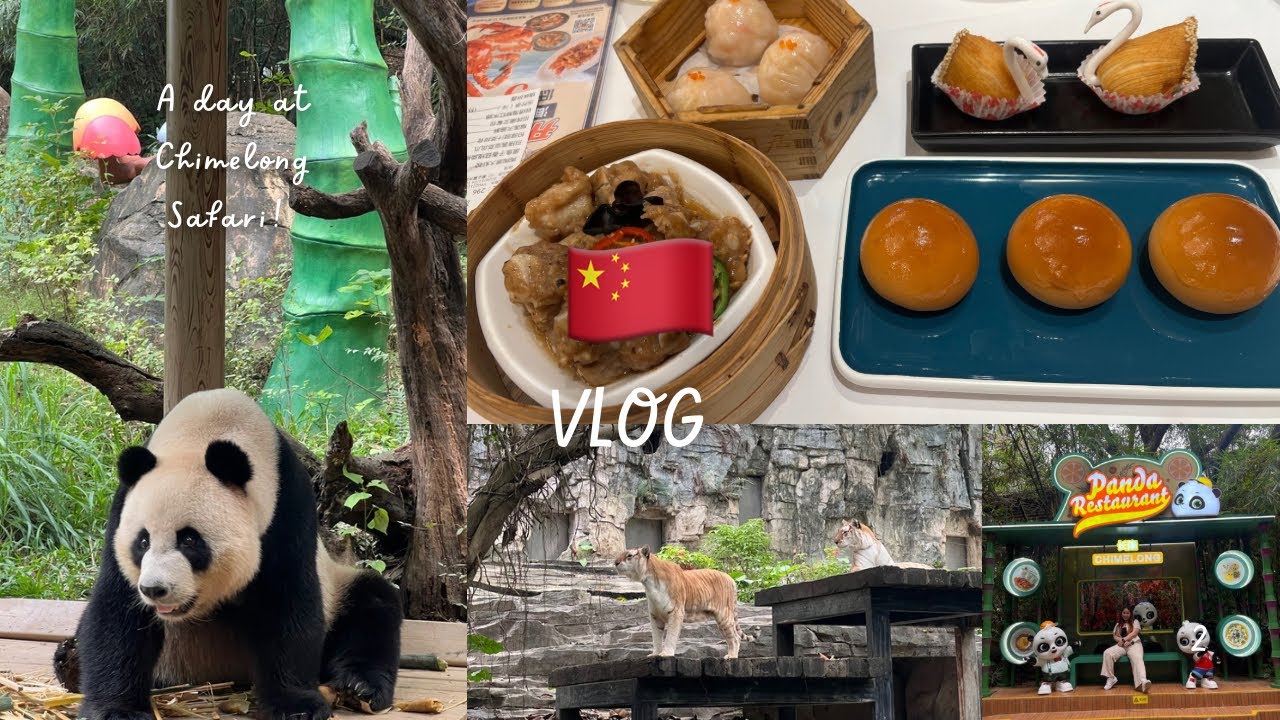 🇨🇳 II: Guangzhou’s chee cheong fun/ Chimelong Safari Park/ Tao Tao Ju dimsum