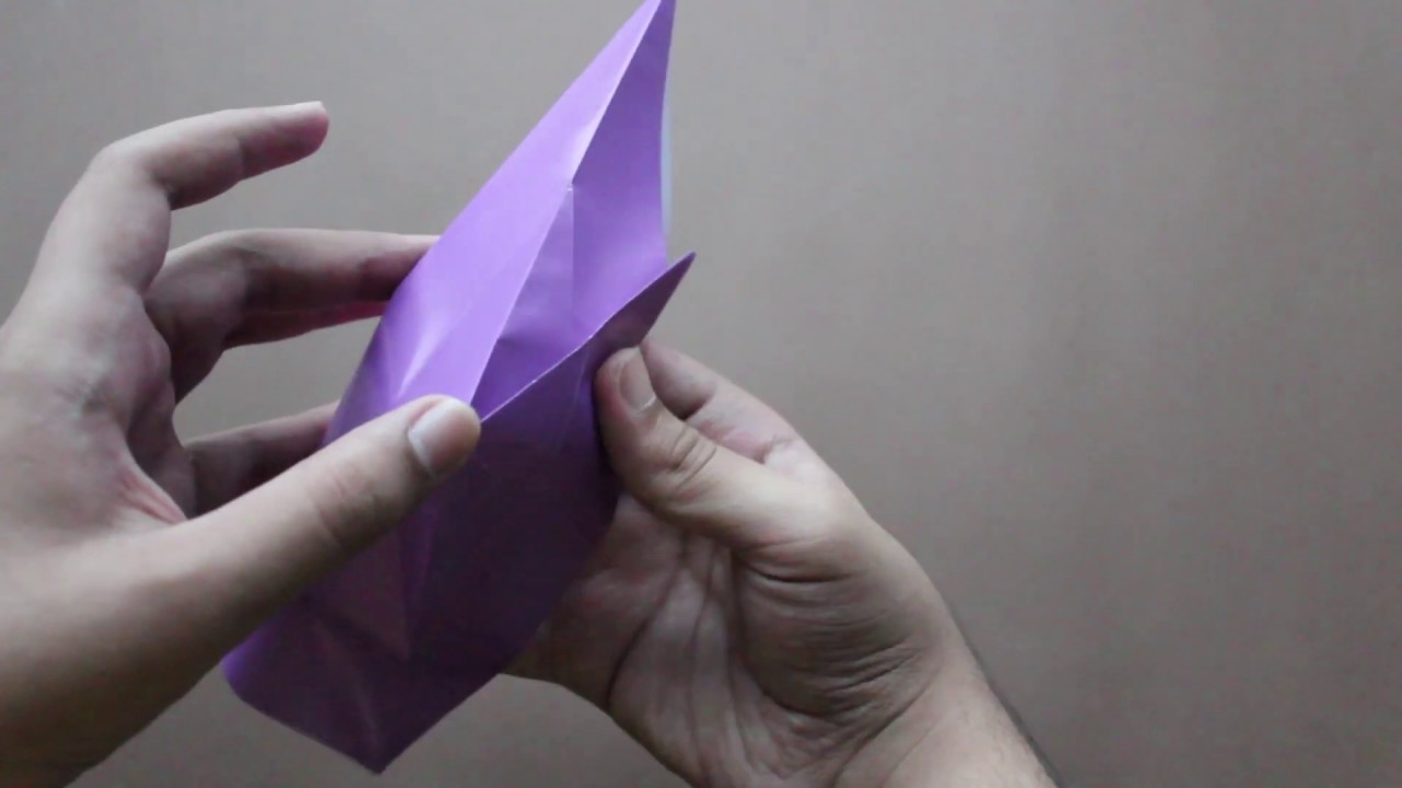 Basic Origami Folds(closed sink fold)
