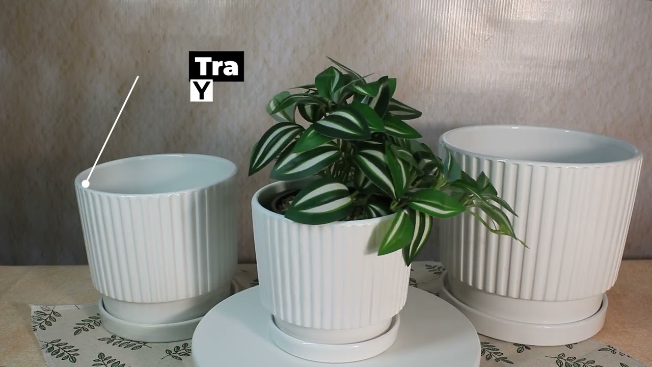 🤍 Ribbed White Planters | Elegant Ceramic Pots for Modern Home & Garden Décor