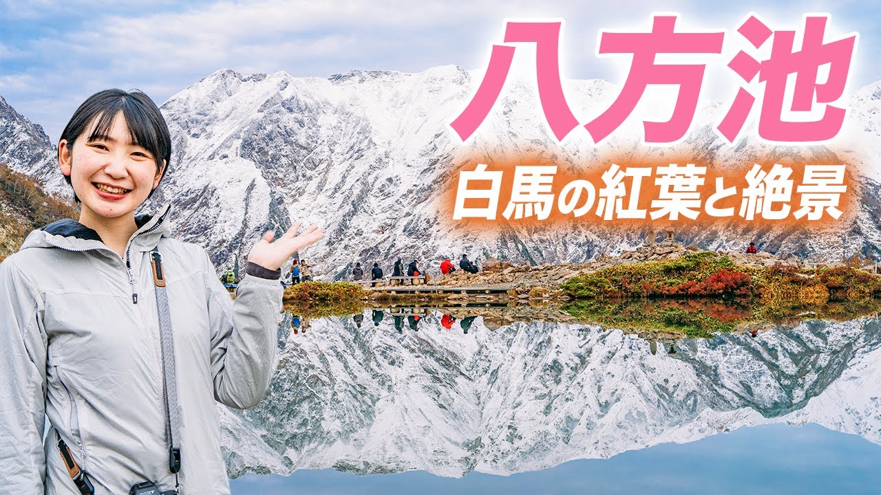 【八方池】白馬岳が反射する絶景！北アルプスの日帰り紅葉登山