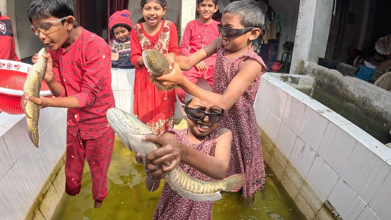 5 People Cleaning Mega Aquarium Fish Tank