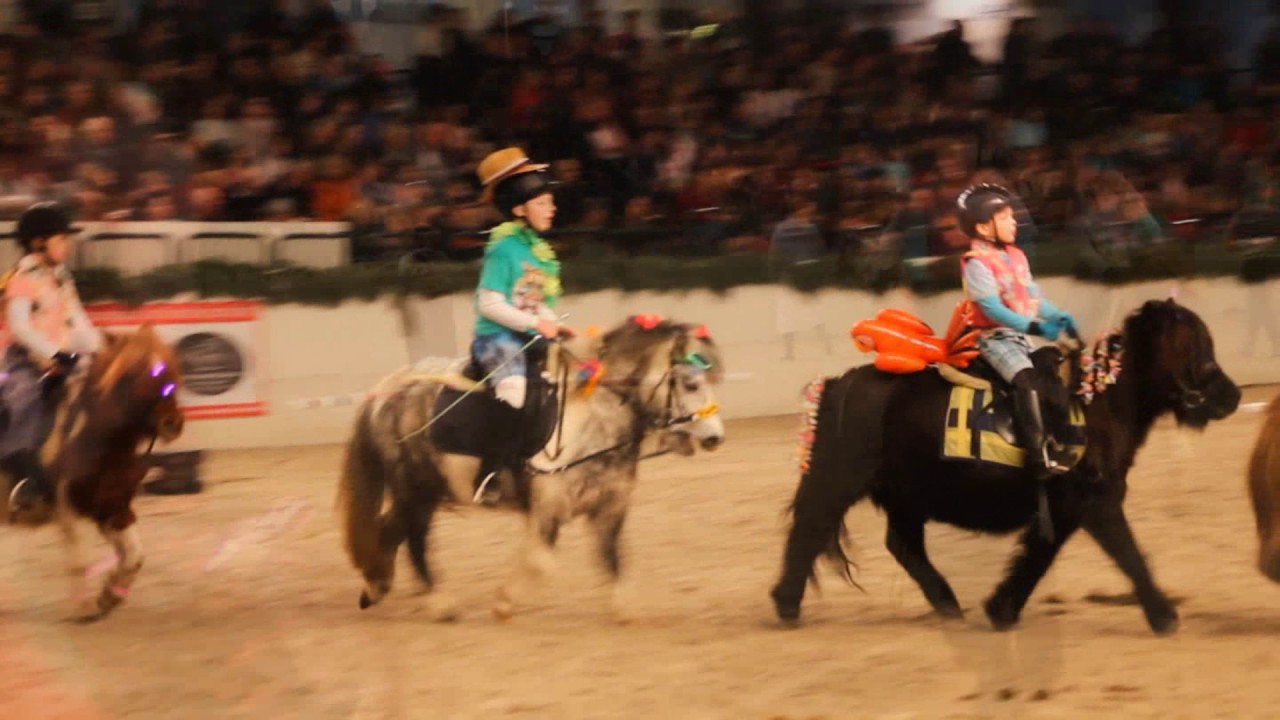 Shettypower in Neumünster - Schaunachmittag, Schaubild und Winzers Ehrung!!!! *-*