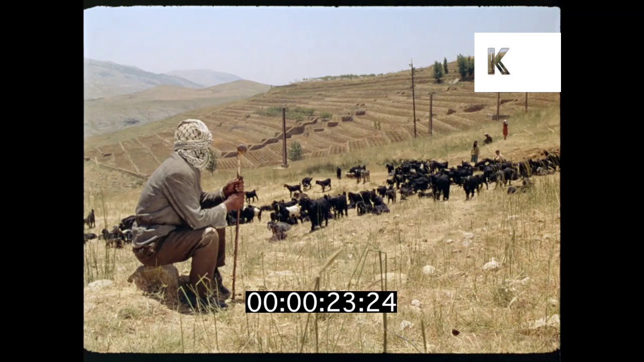 1970s Lebanon, Driving POV Along Mountain Roads, 35mm
