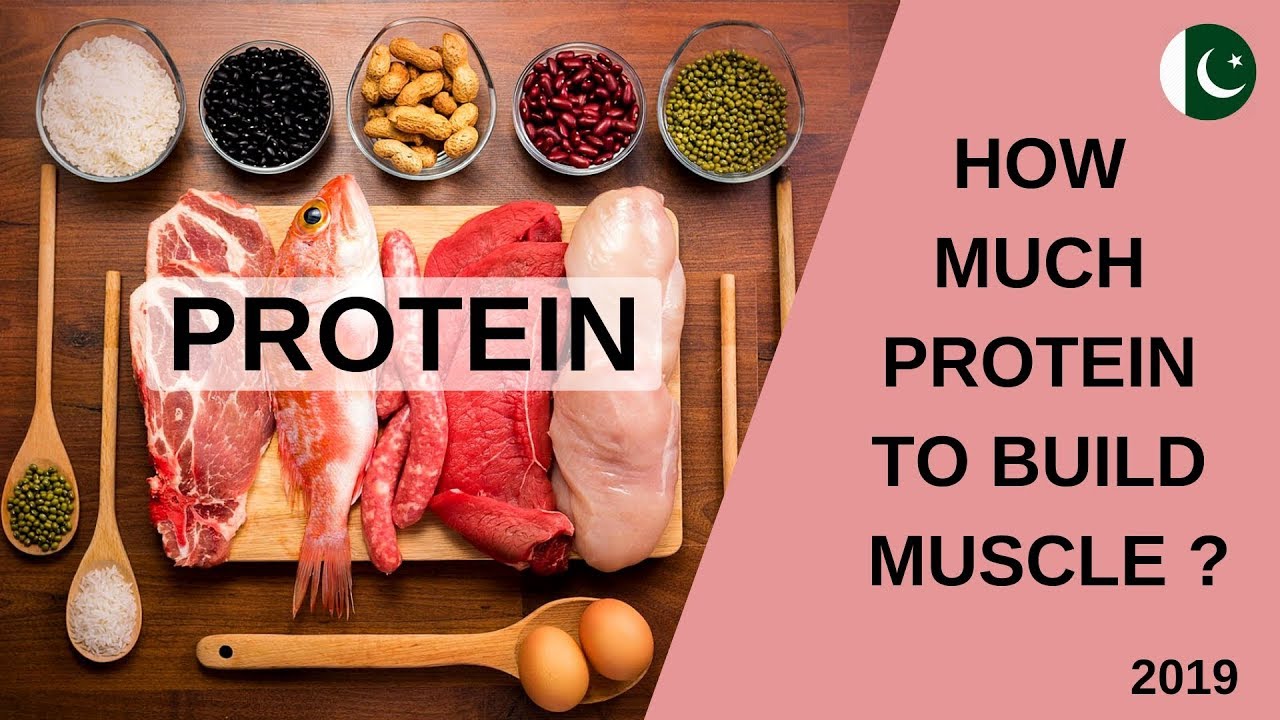 How much PROTEIN to BUILD MUSCLE | Case Studies & Research