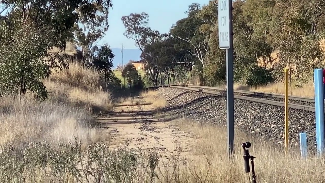 Sound experience of NSWGR 3801 Flying by at Bathurst  #3801 #nswgr 