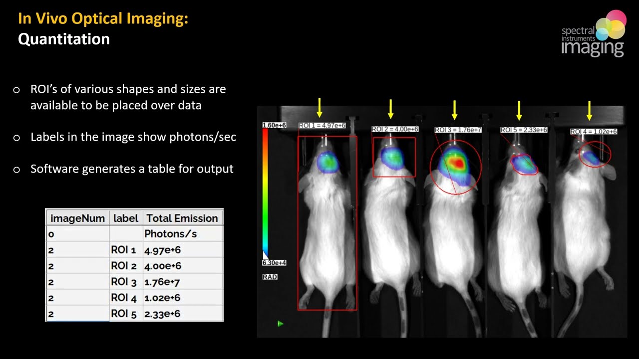 Webinar - How in vivo optical imaging can facilitate 3Rs compliant research