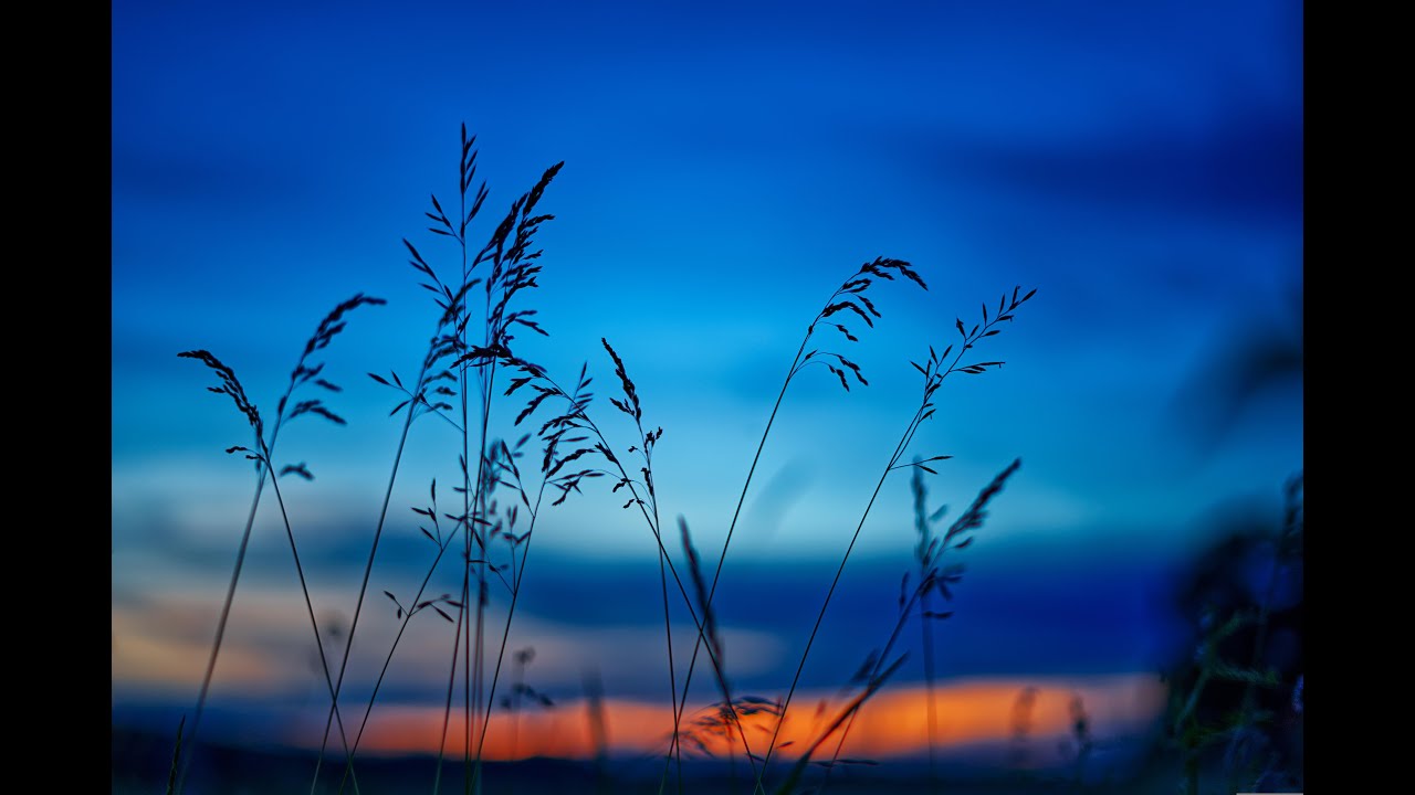 10 Hours of Deep Nature Ambient Sound | Calm Mind, Focus & Relaxation