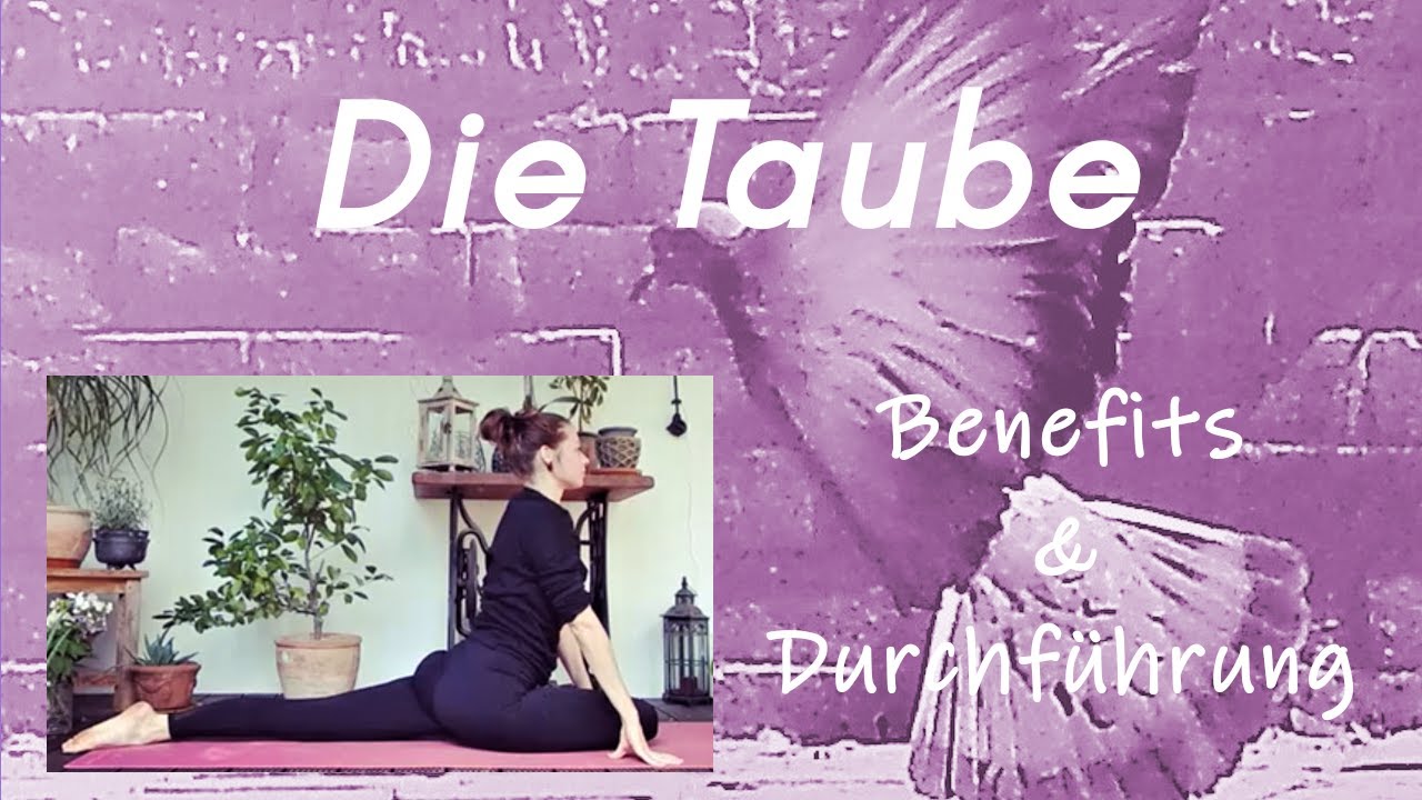Die liegende Taube | Tutorial