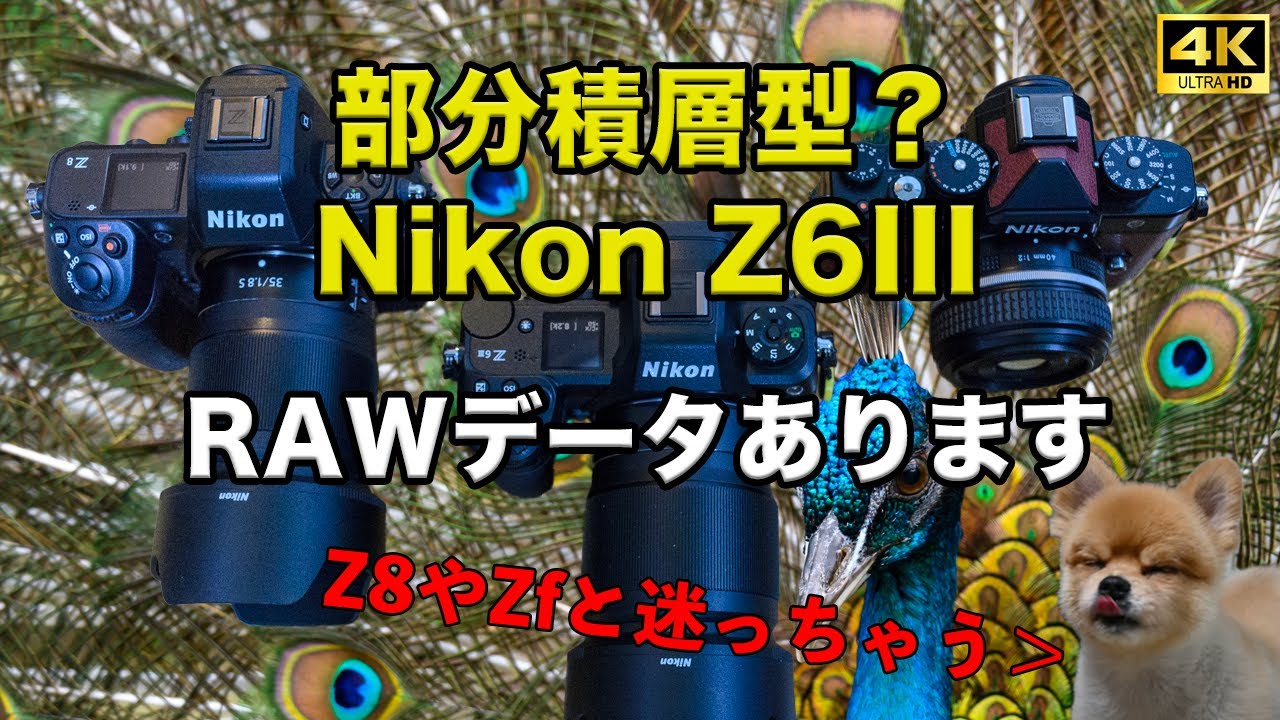 【RAW有】部分積層型！？　Nikon Z6III  先行レビュー