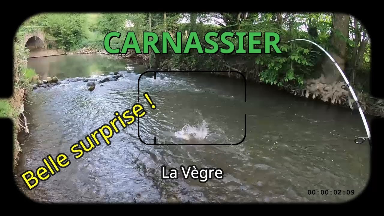 Truite à la cuillère sur la Vègre