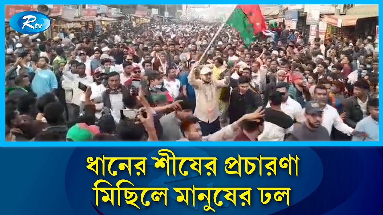 জামালপুরের বকশীগঞ্জে ধানের শীষের প্রচারণা মিছিলে মানুষের ঢল, বাঁধ ভাঙা উচ্ছ্বাস | Rtv News