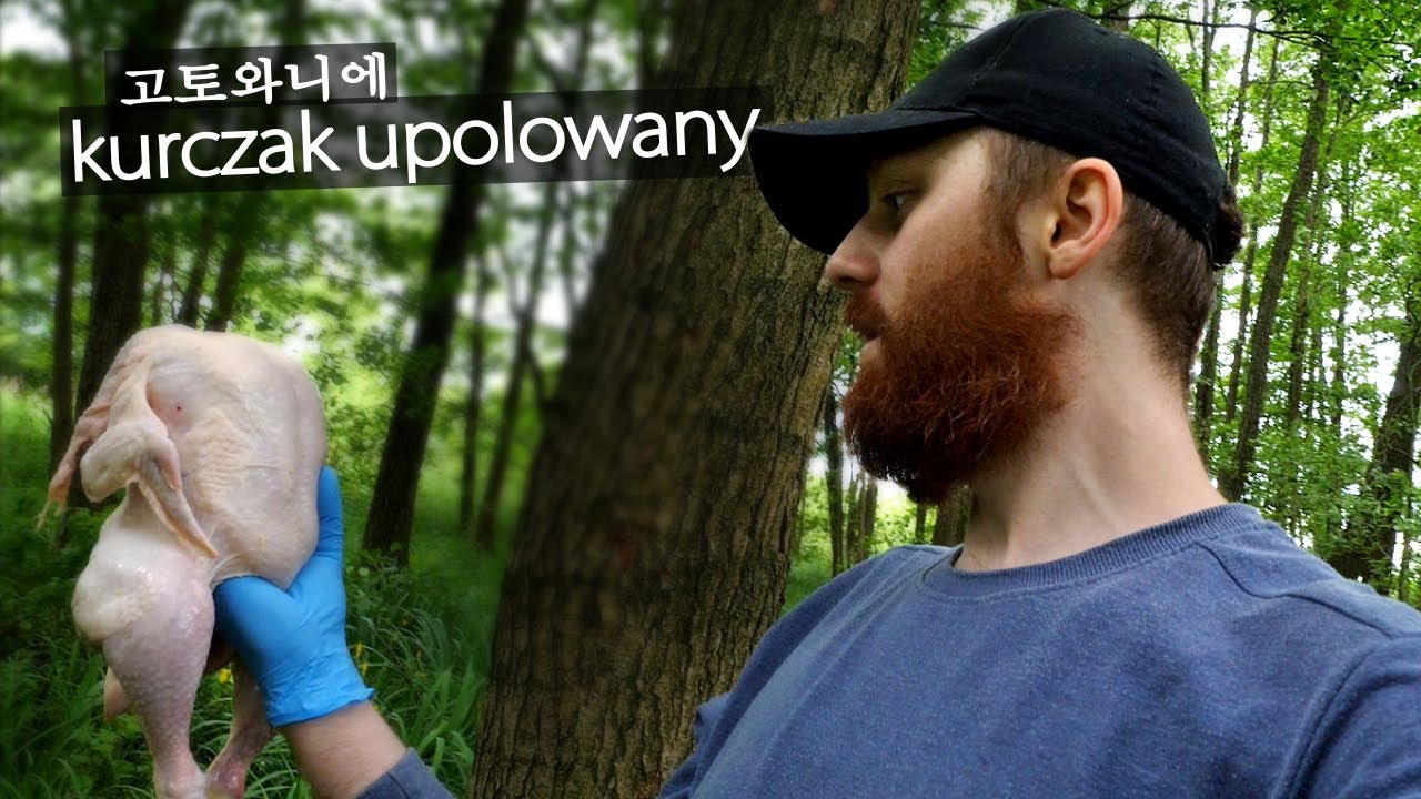 kurczak upolowany - 고토와니에 #5