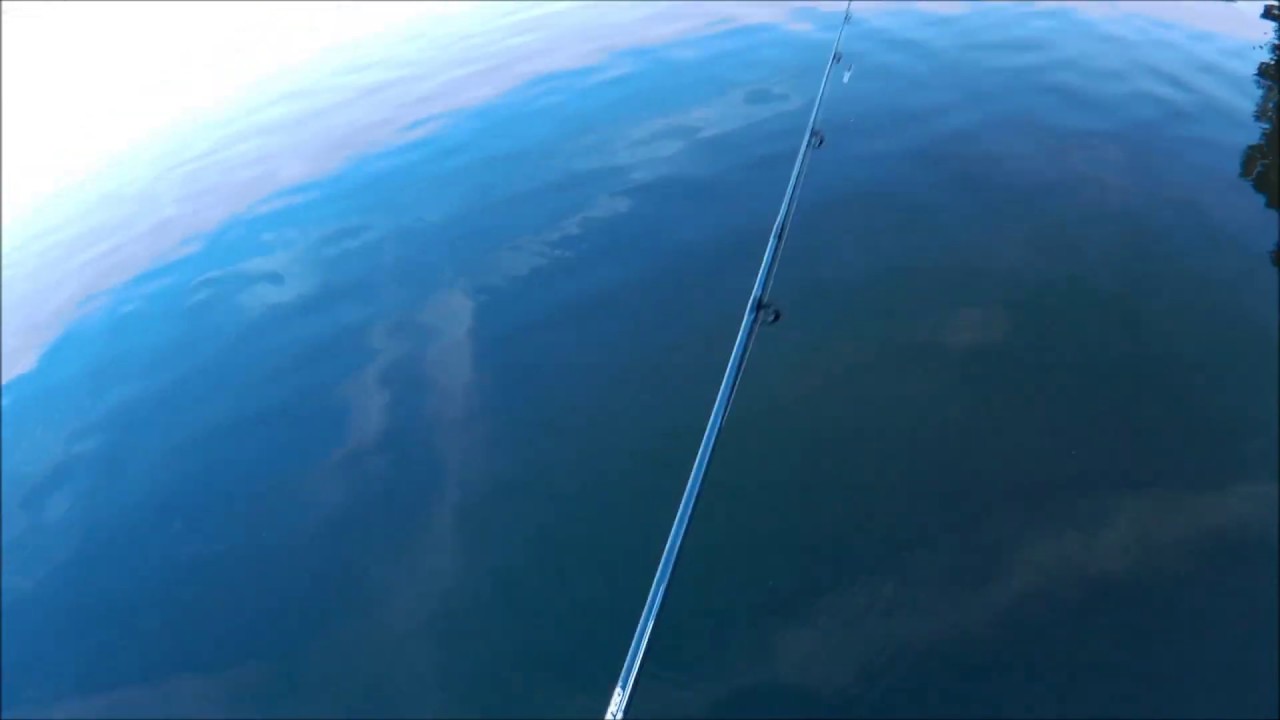 Reviewing Lucky Portable Fish Finder While Fishing On A Pier Does It Work?