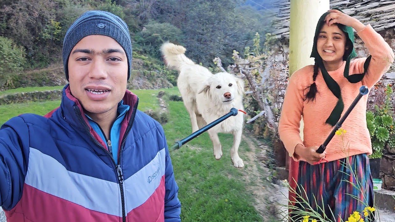 अचानक घर के इतने पास आ गया जंगली जानवर || Pahadi Lifestyle Vlog || Namaste Pahad || Ashutosh Negi