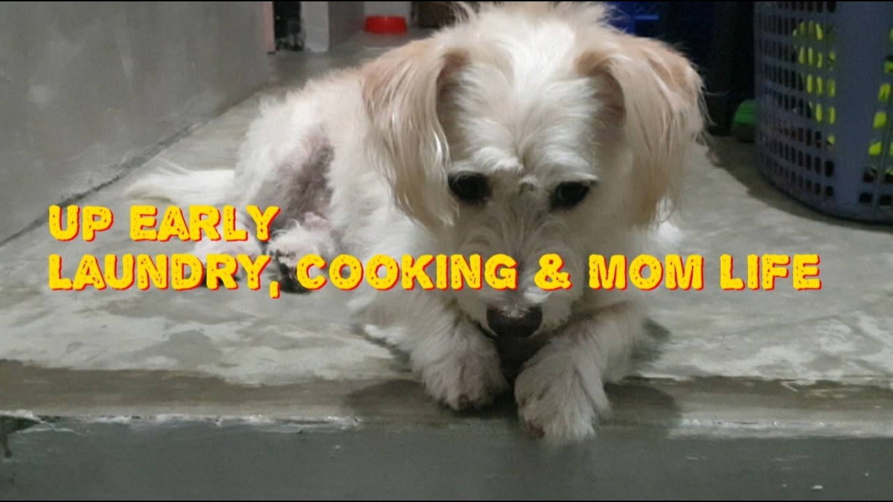 Up Early | Laundry, Cooking & Mom Life #silentvlog  #simpleliving #momlifestylevlog