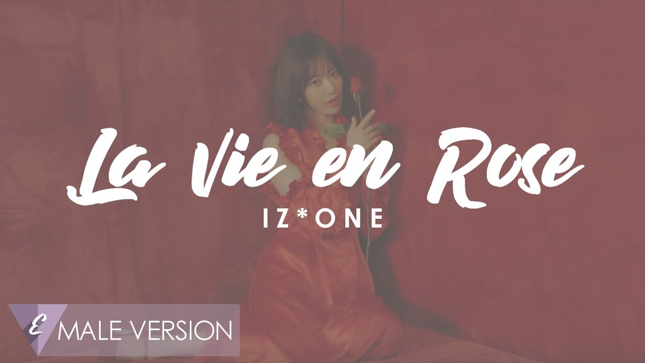 MALE VERSION | IZ*ONE - La Vie en Rose