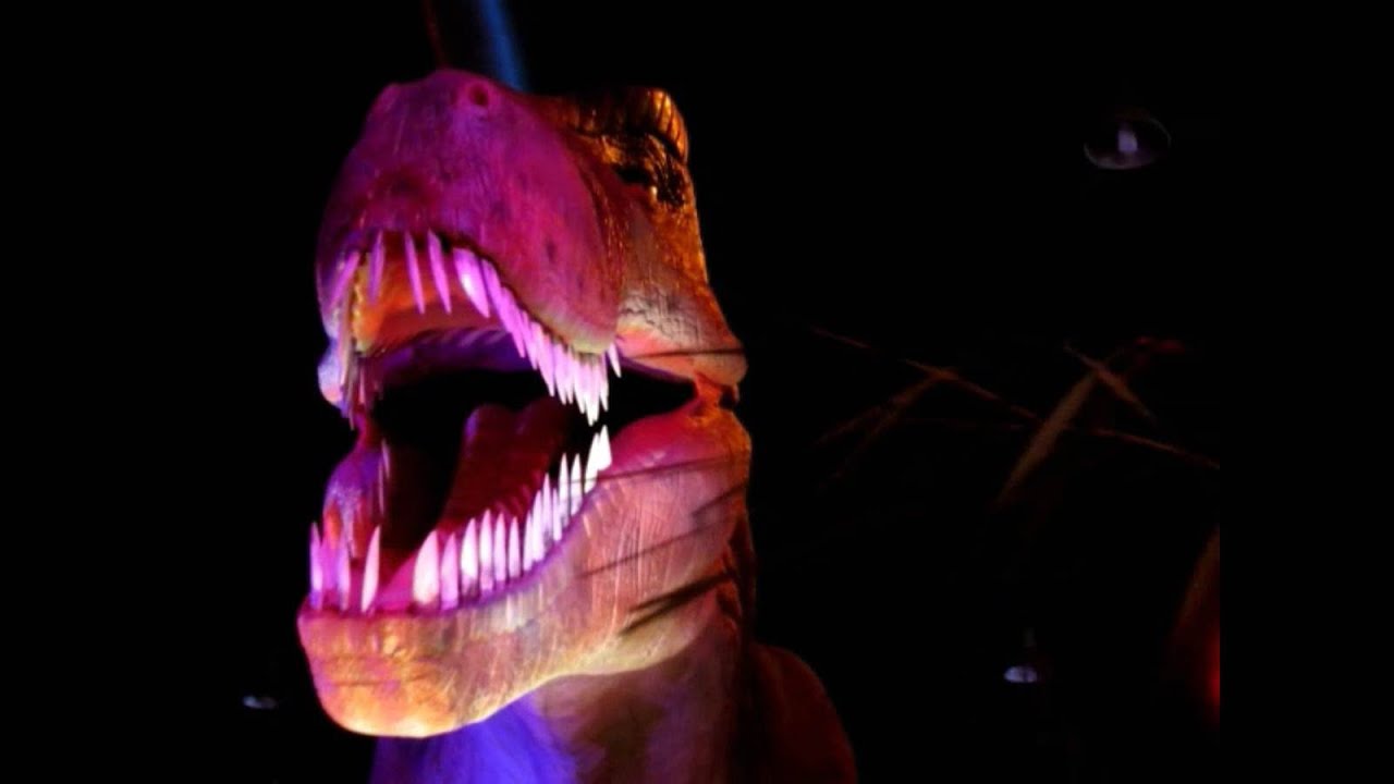 Dinosaurios feroces aterradores tamaño real y movimiento Tiranosaurio Rex - Gigantosaurio etc