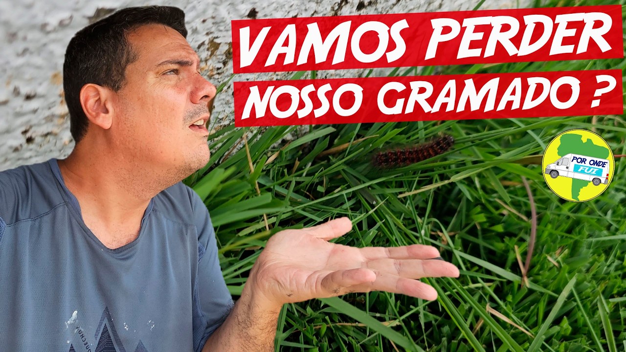 Agora isso em nossa casa ! O que fazer ? #357