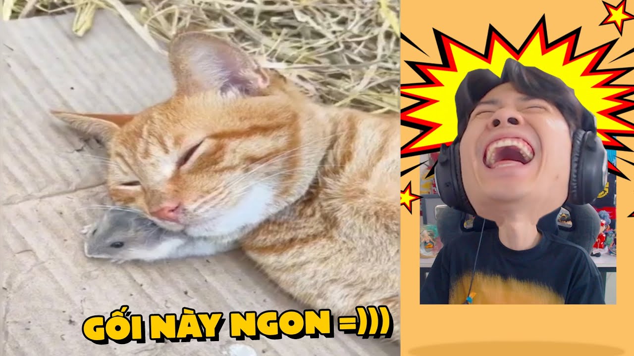 Đầu năm CƯỜI cả năm VUI *version 2024* !!! (Pobbrose TTCC) ✔