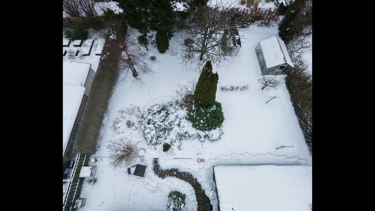 Snowy house and its red cat.