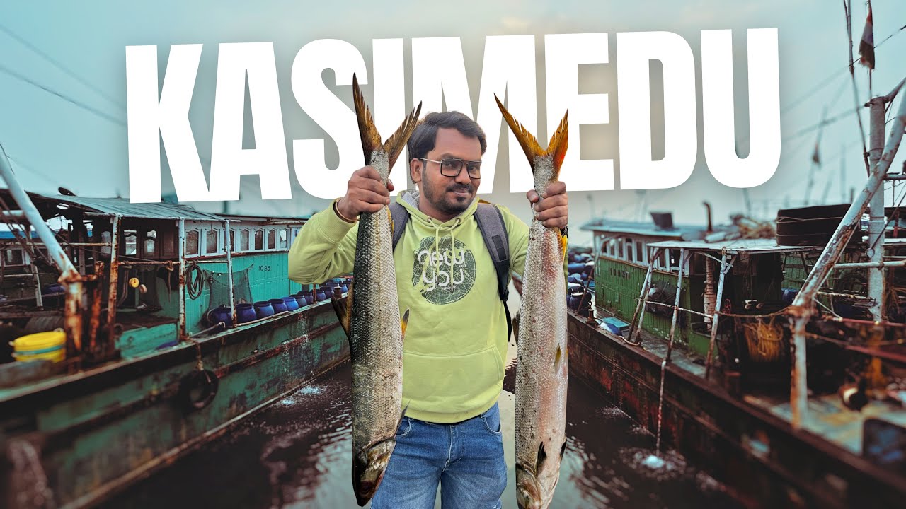 🙌ஏலத்தில் குறைந்த 🤑விலையில் 🐡மீன் வாங்க முடியுமா? | Kasimedu Fish Market | S1-EP17