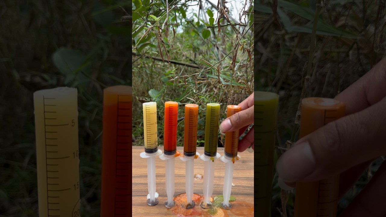 Survival Skills:The shows andUseful Save SOAP#outdoors #bushcraft #camping#skills #diy