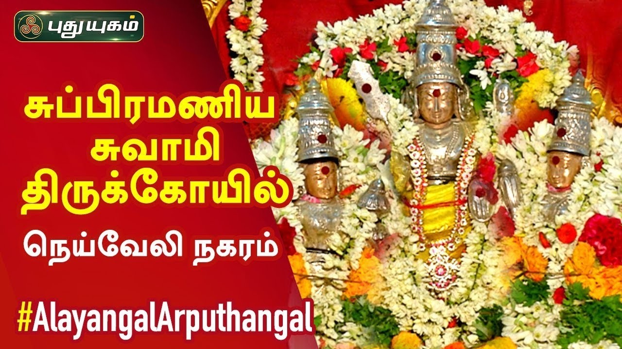 நெய்வேலி நகரம் சுப்பிரமணிய சுவாமி திருக்கோயில் சிறப்பு தொகுப்பு...!! | Alayangal Arputhangal