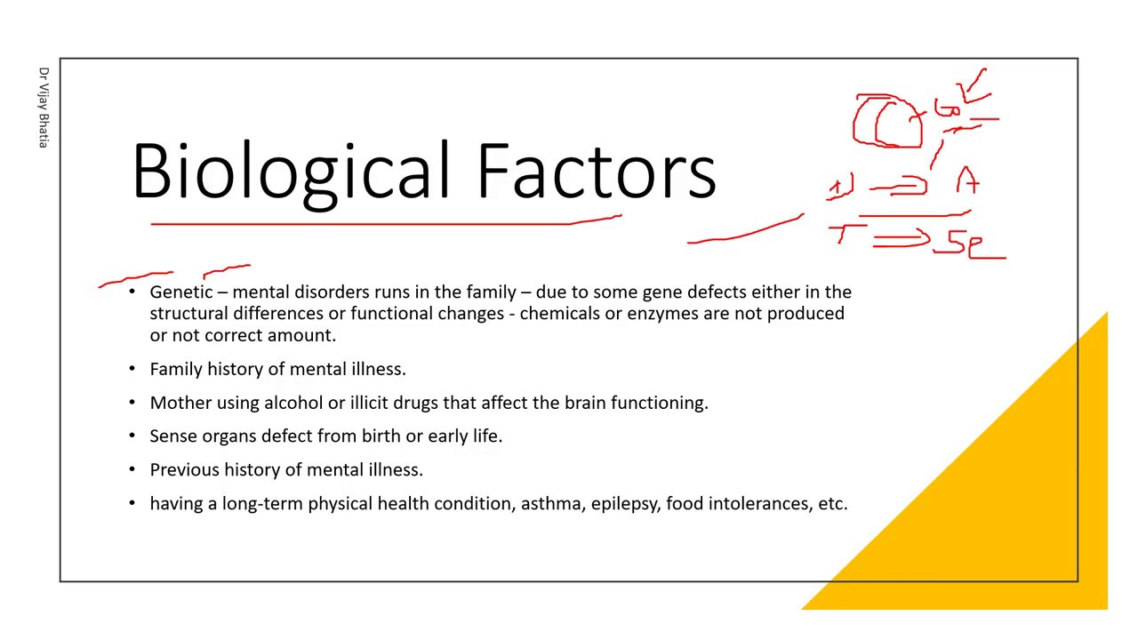 Causes of Mental Illness