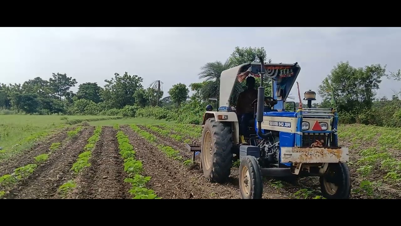 Indian village former Life. fertilizer application cultivation cotton fields.🌱🌿☘️