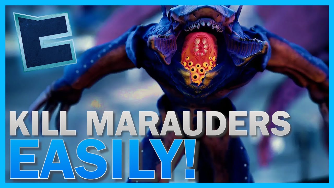 NEW ULTIMATE MARAUDER GUIDE (The Cycle: Frontier)