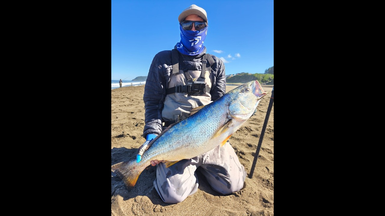 Pesca De Corvinas En Playa Curi&ntilde;anco