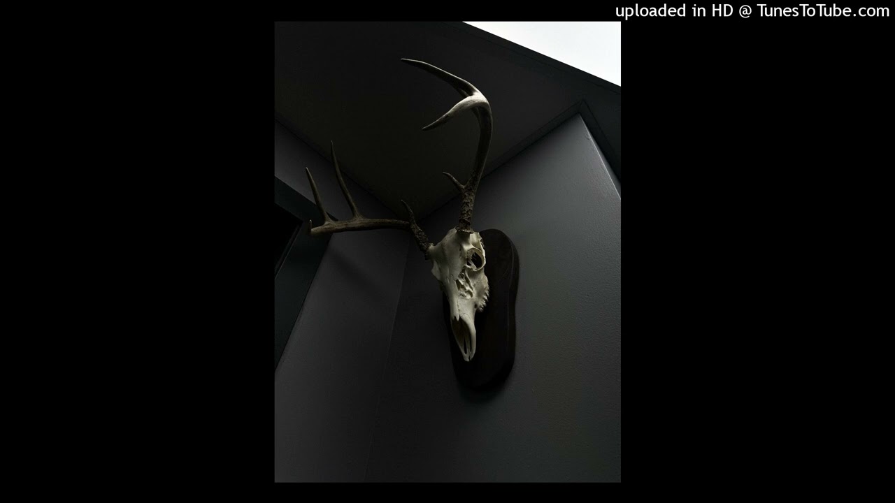 Ritey - DEADLINE (Official Video)