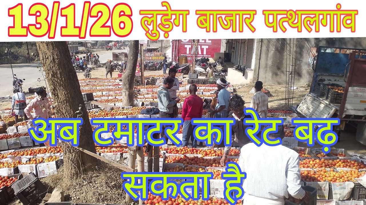 फिर टमाटर आज लुटा गया #ab tamater ka ret nahi girega #Rajeshbhatt vlogs 