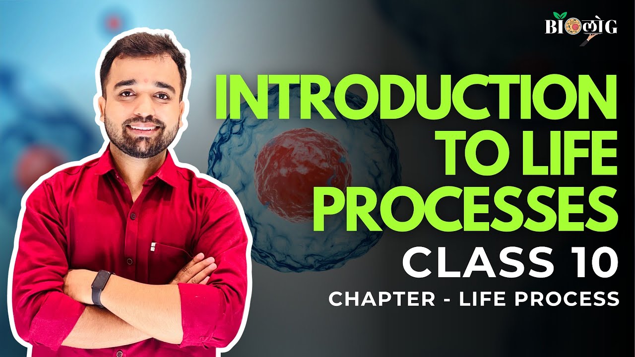 Introduction to Life Processes | Class 10 Science | Nutrition, Respiration, Transport & Excretion.