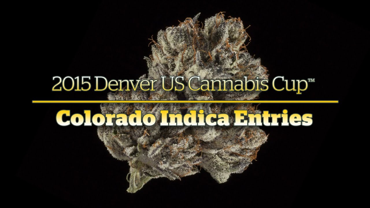 2015 Denver Cannabis Cup: Colorado Indica Entries