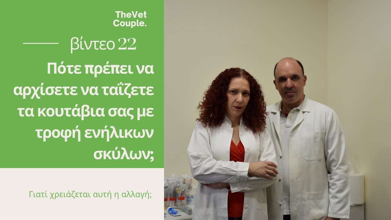 Πότε και γιατί πρέπει να αρχίσετε να ταΐζετε τα κουτάβια σας με τροφή ενήλικων σκύλων;