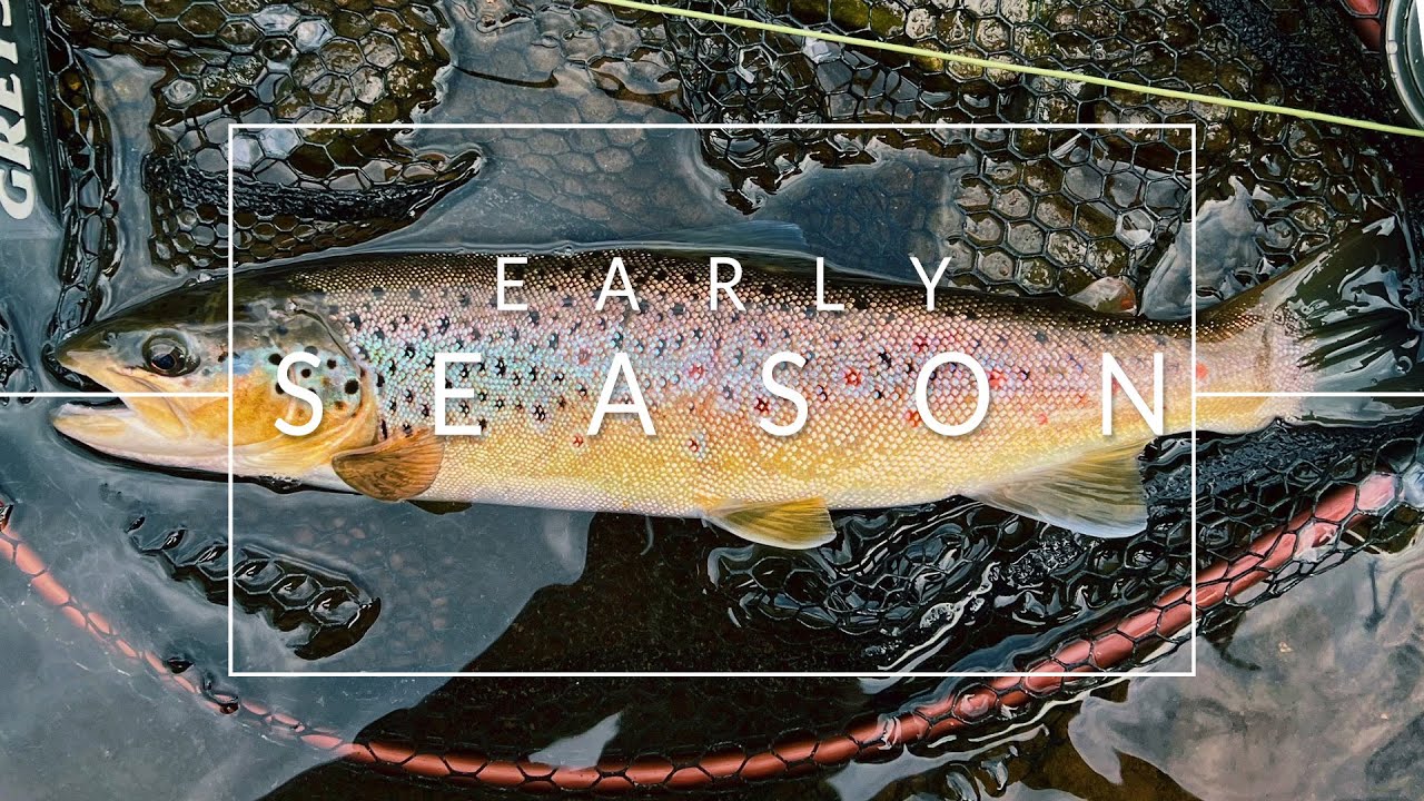 Early Season Trout | Fly-fishing Scotland | Nymph Streamer and Dry Fly