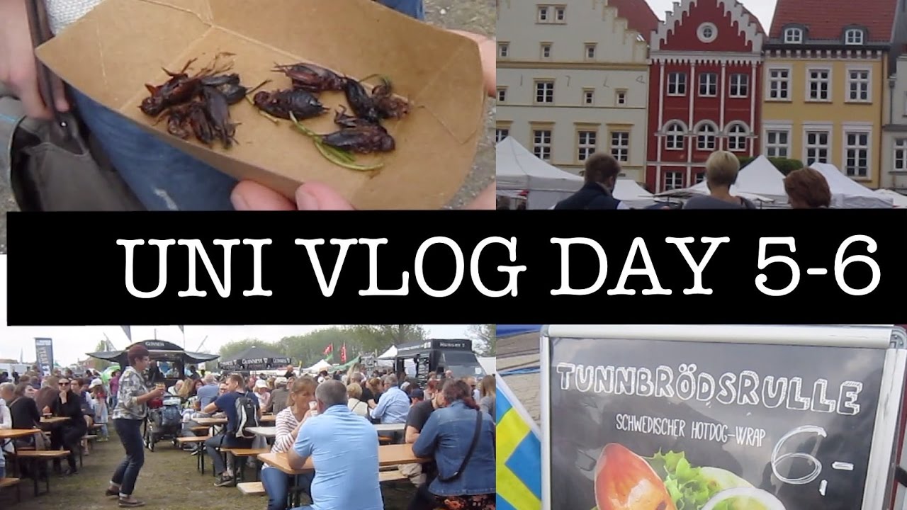 GERMAN UNI VLOG DAY 5-6 : 1st GREIFSWALD STREET FOOD FESTIVAL