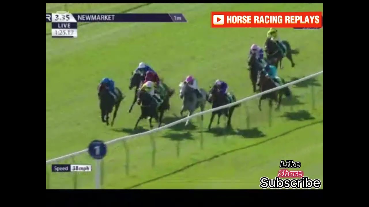 Field Of Gold / win Craven Stakes  Newmarket 16 Apr 2025