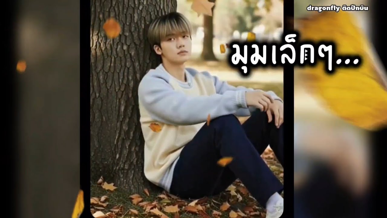 #มุมเล็กๆ #dragonflyติดปีกบิน
