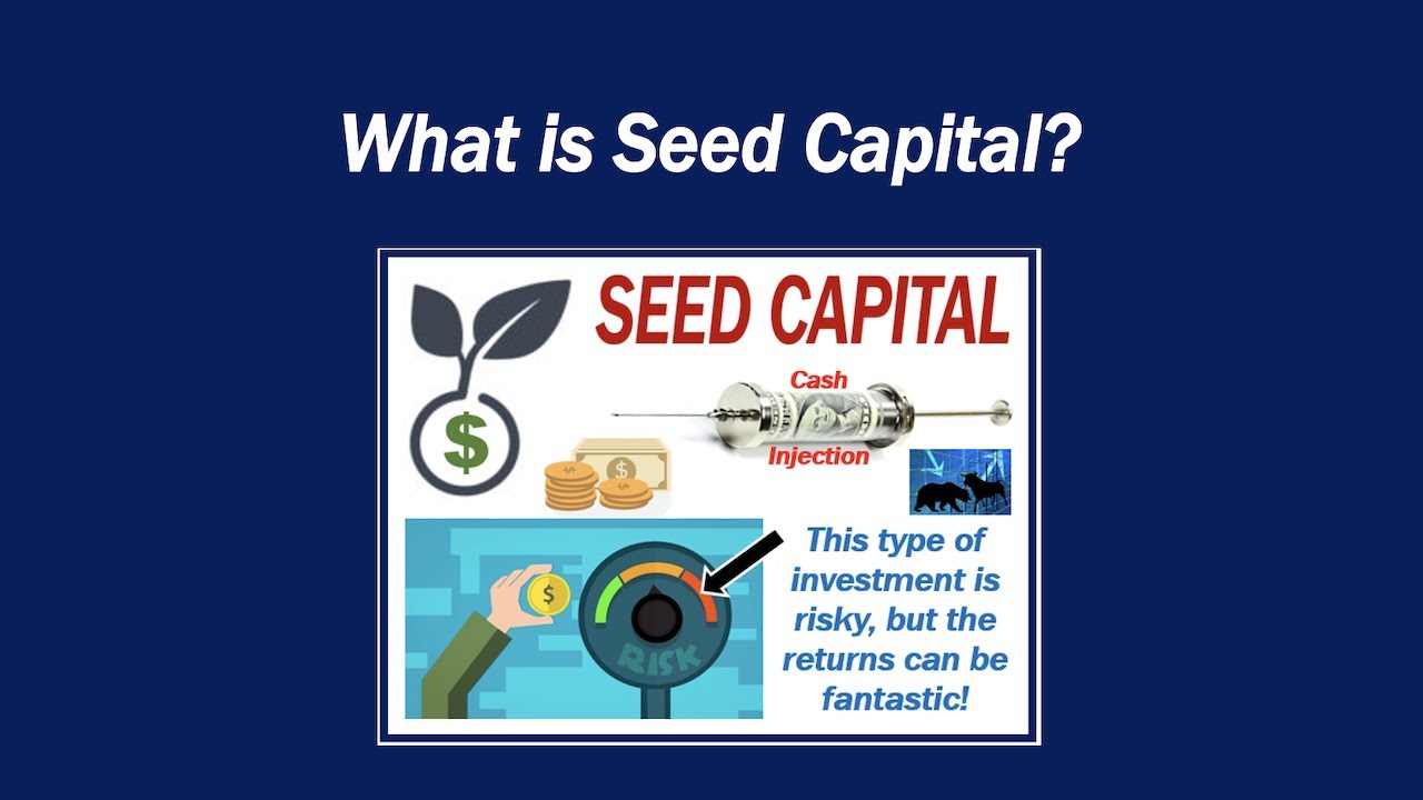 What is Seed Capital?