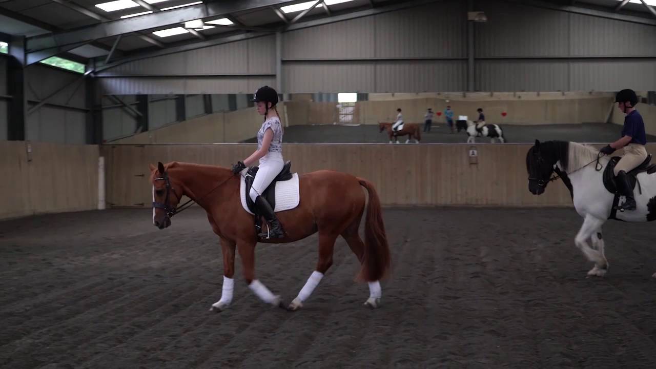 On The Bit Lesson 2